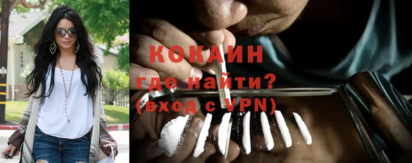 индика Алексеевка