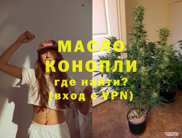 индика Алексеевка