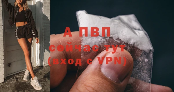 стафф Абдулино