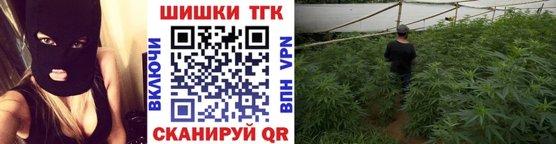Шишки марихуана сатива  Мантурово 